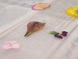 microwave dried flowers detail