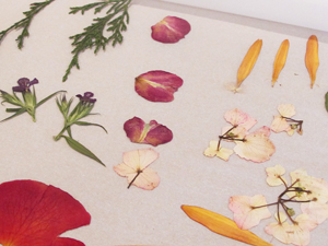 dried flowers on parchment paper