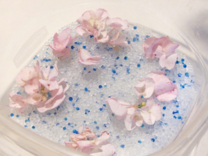 drying flowers with silica gel beads