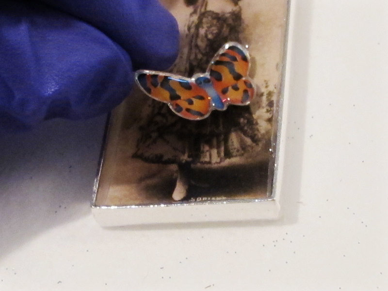 placing butterfly in resin