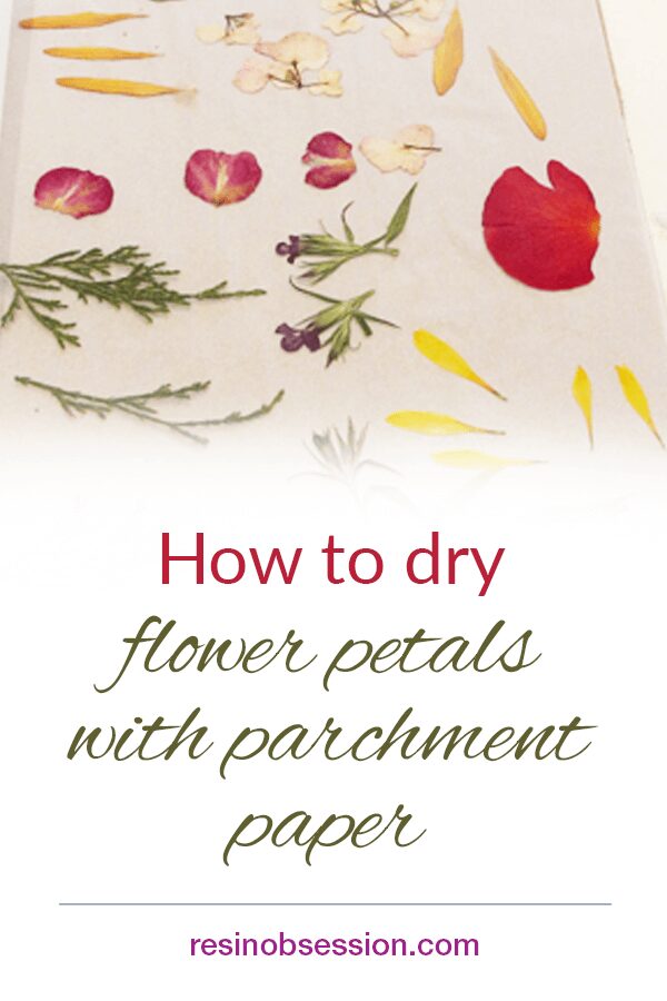 How to dry flower petals with parchment paper