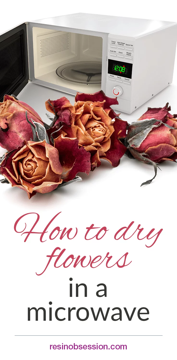 How to dry flowers in the microwave