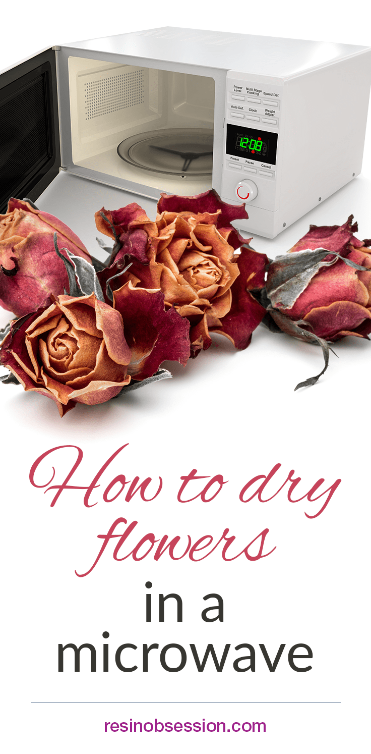 How To Dry Flowers In A Microwave - Resin Obsession