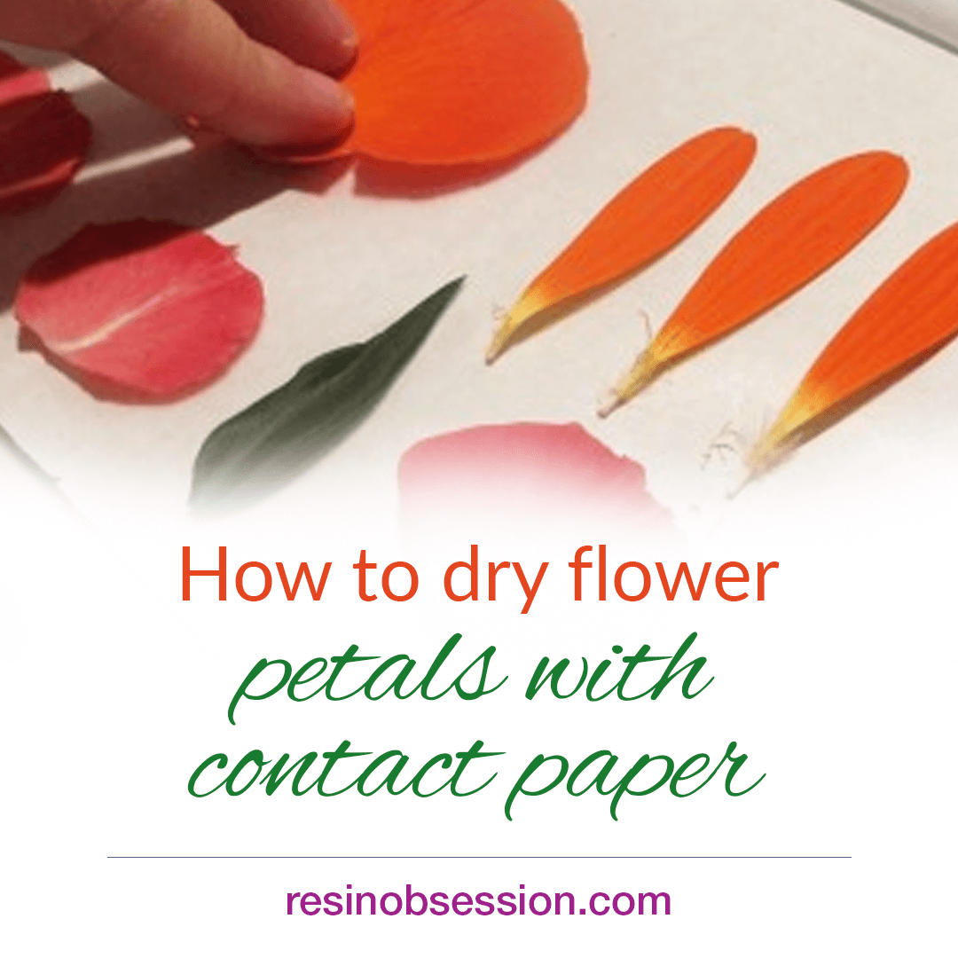 How to dry flower petals with contact paper Resin Obsession