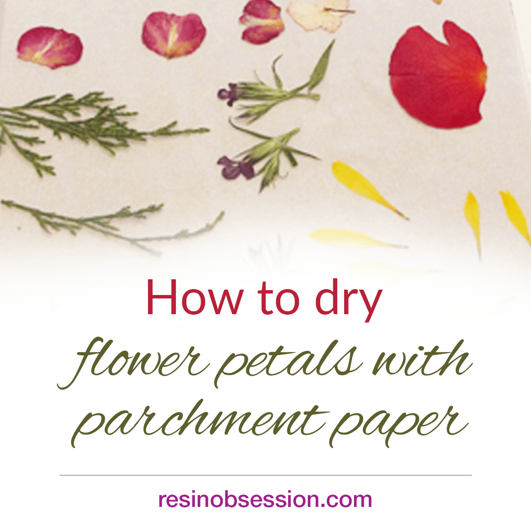 How to dry flower petals with parchment paper