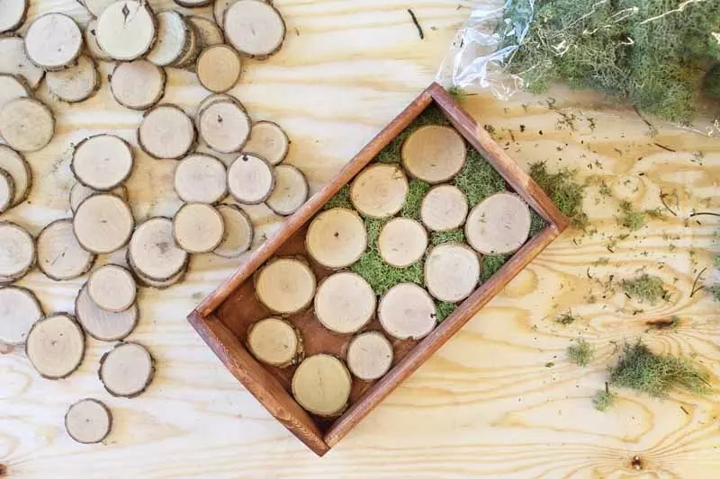 adding wood slices and moss to a wood tray