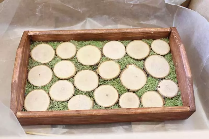 preparing wood slices and tray for resin