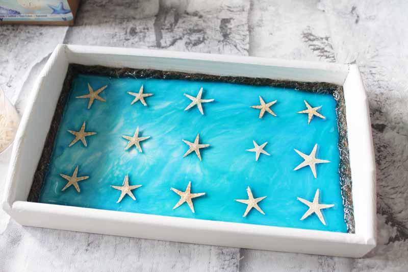starfish on a resin tray