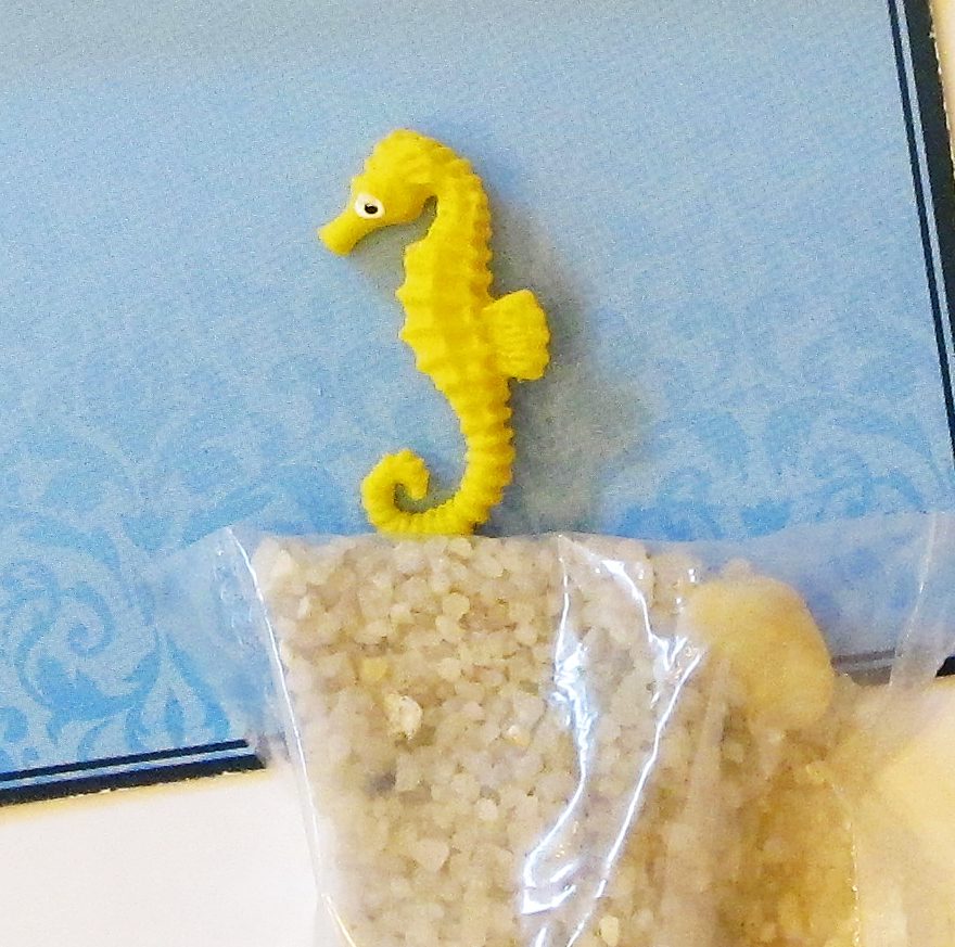 seahorse miniature and sand