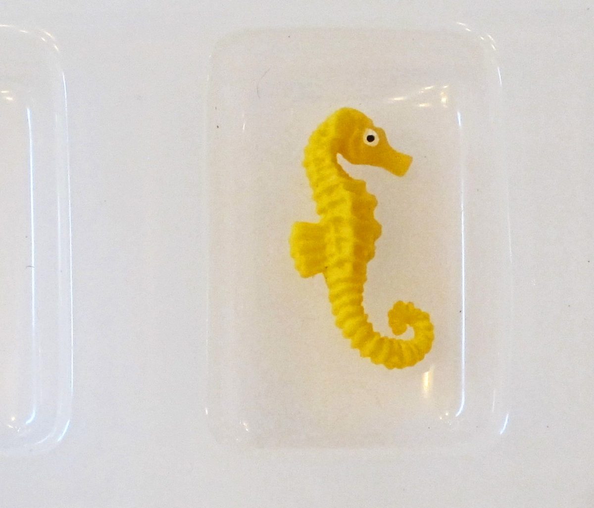 seahorse and a plastic resin mold