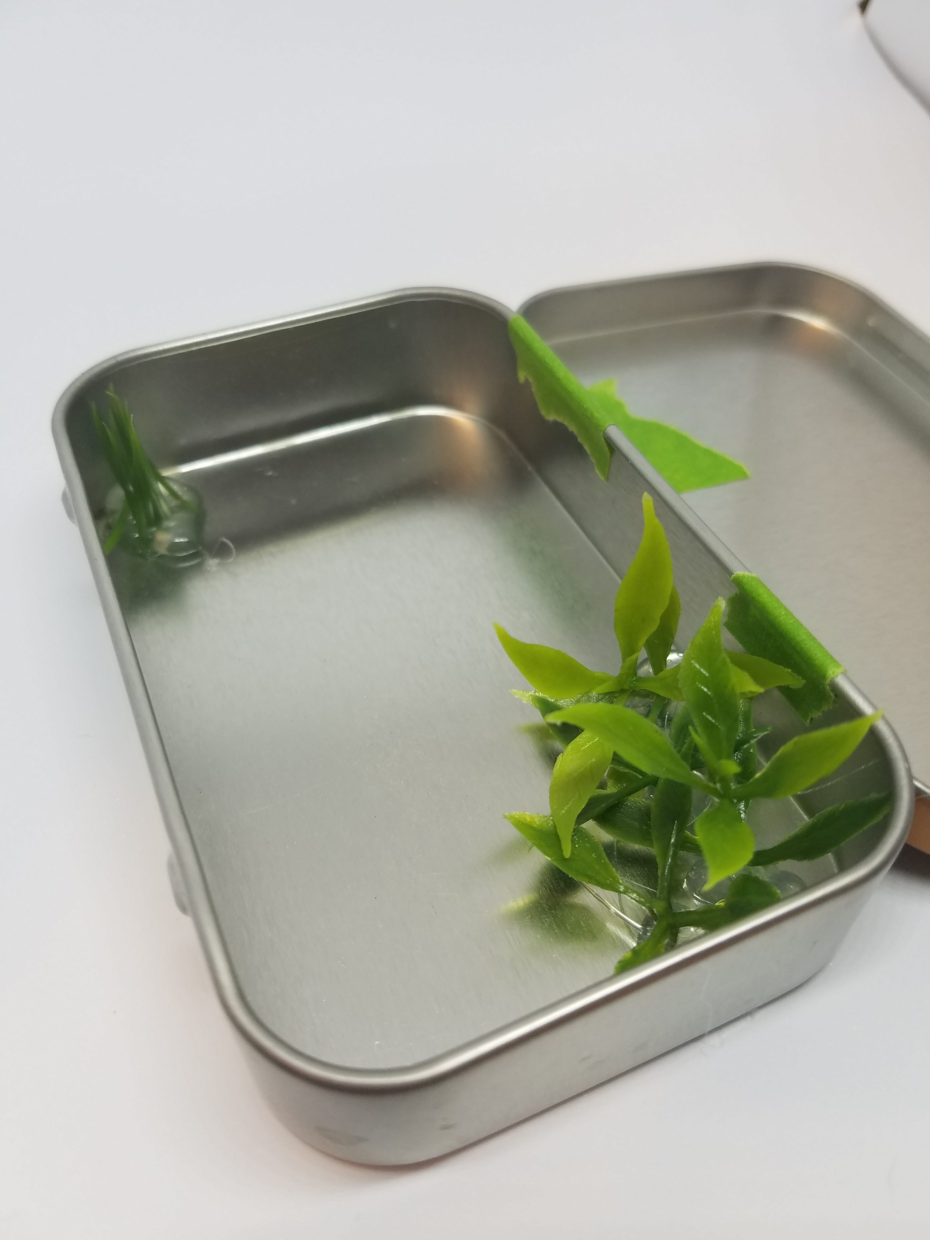 artificial leaves in mint tin - ready to place the stones