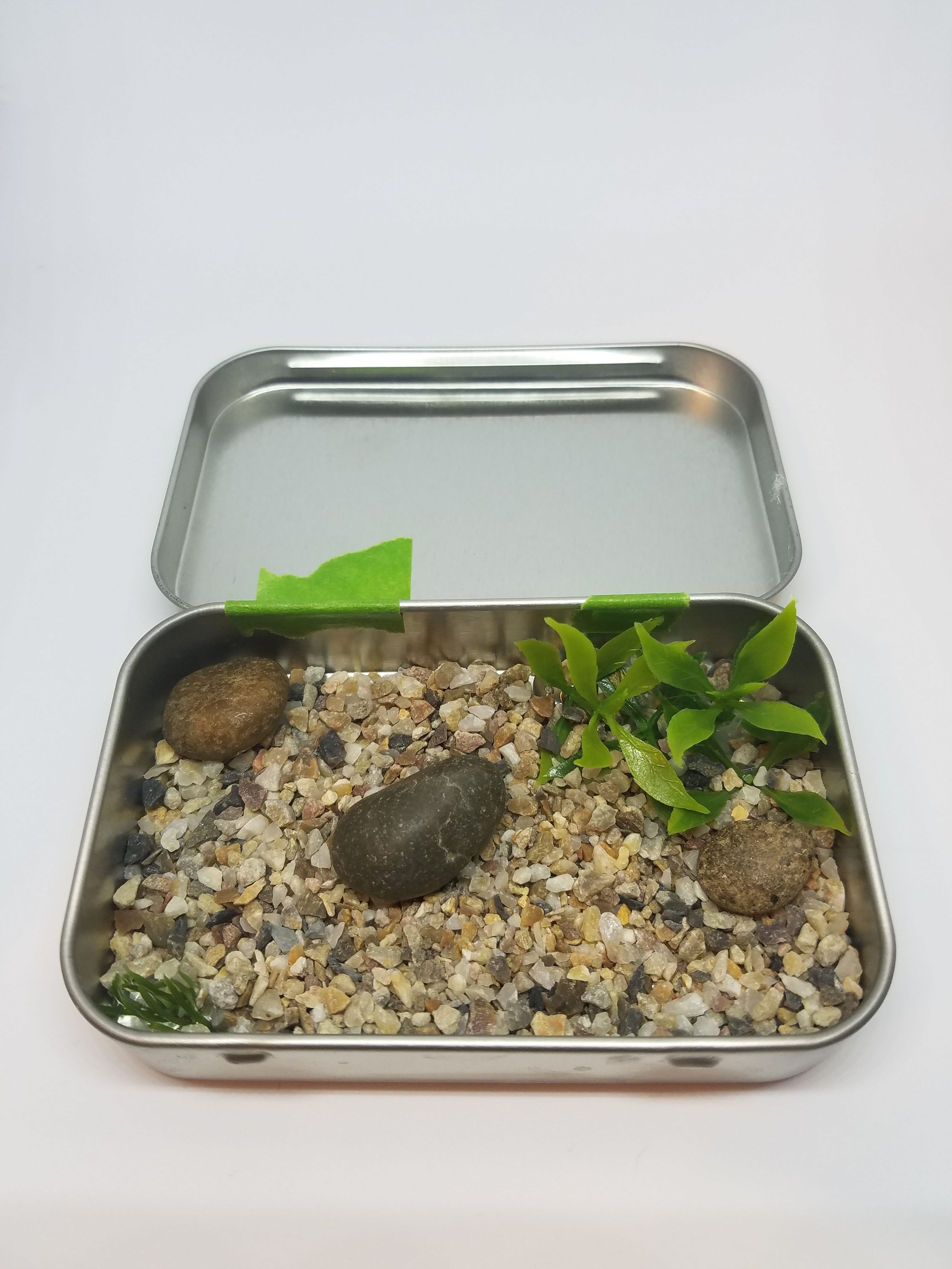 rocks and articificial leaves inside mint tin - ready to pour the resin