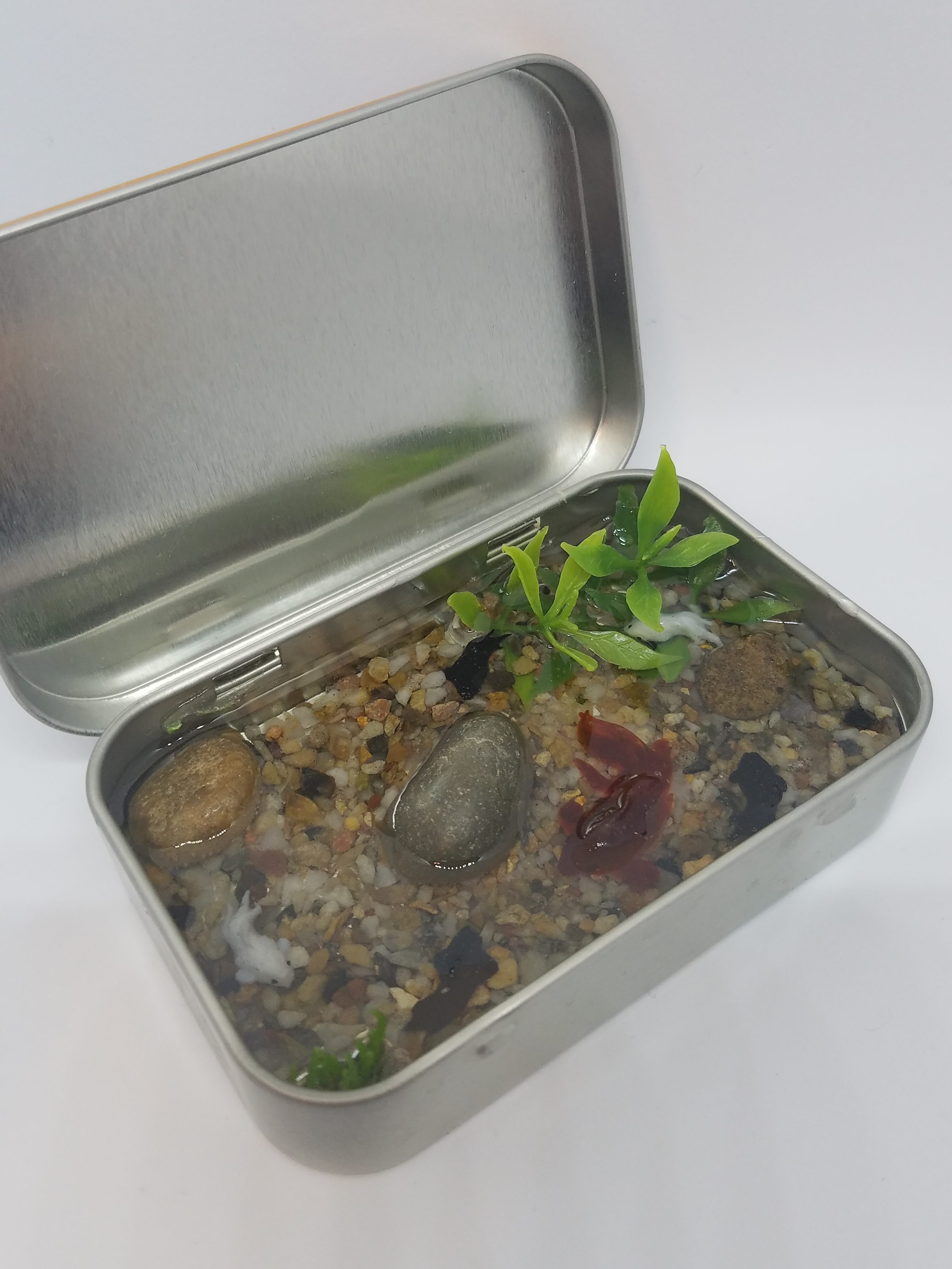 Mini koi pond inside a mint tin made from resin