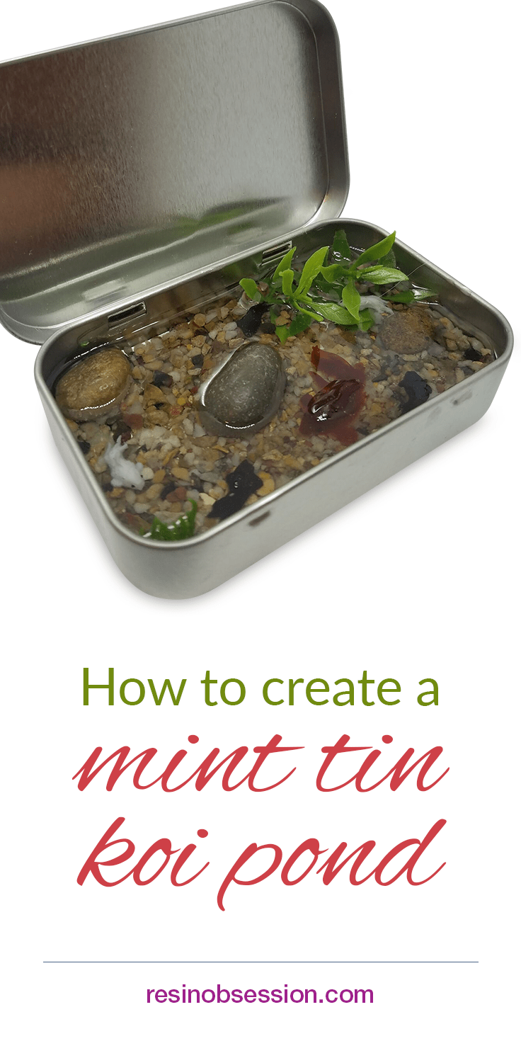  How to create a mint tin mini koi pond with reason. 