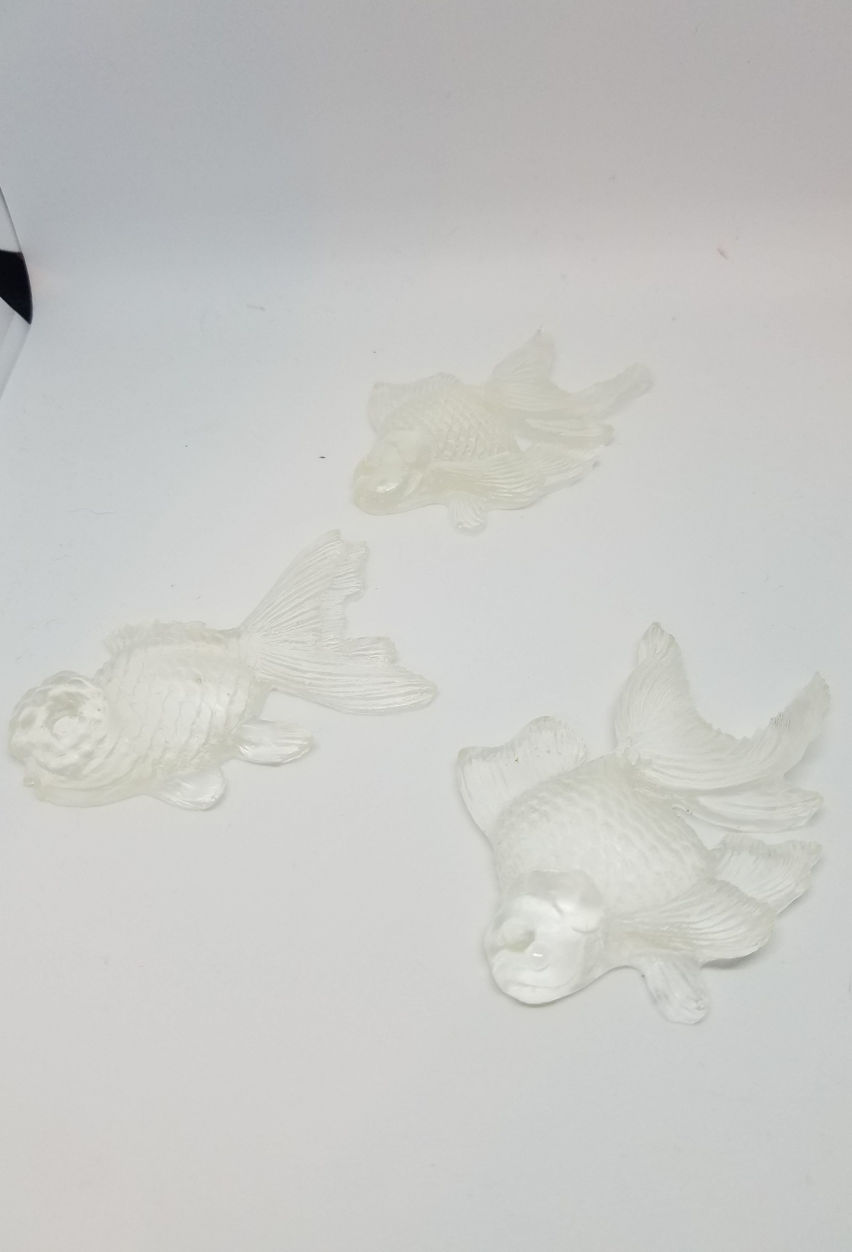 clear epoxy fish