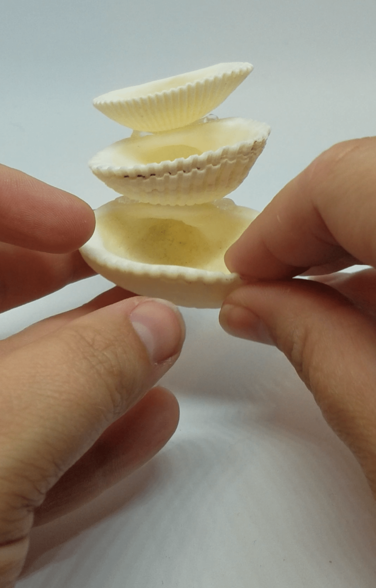 assembling shells