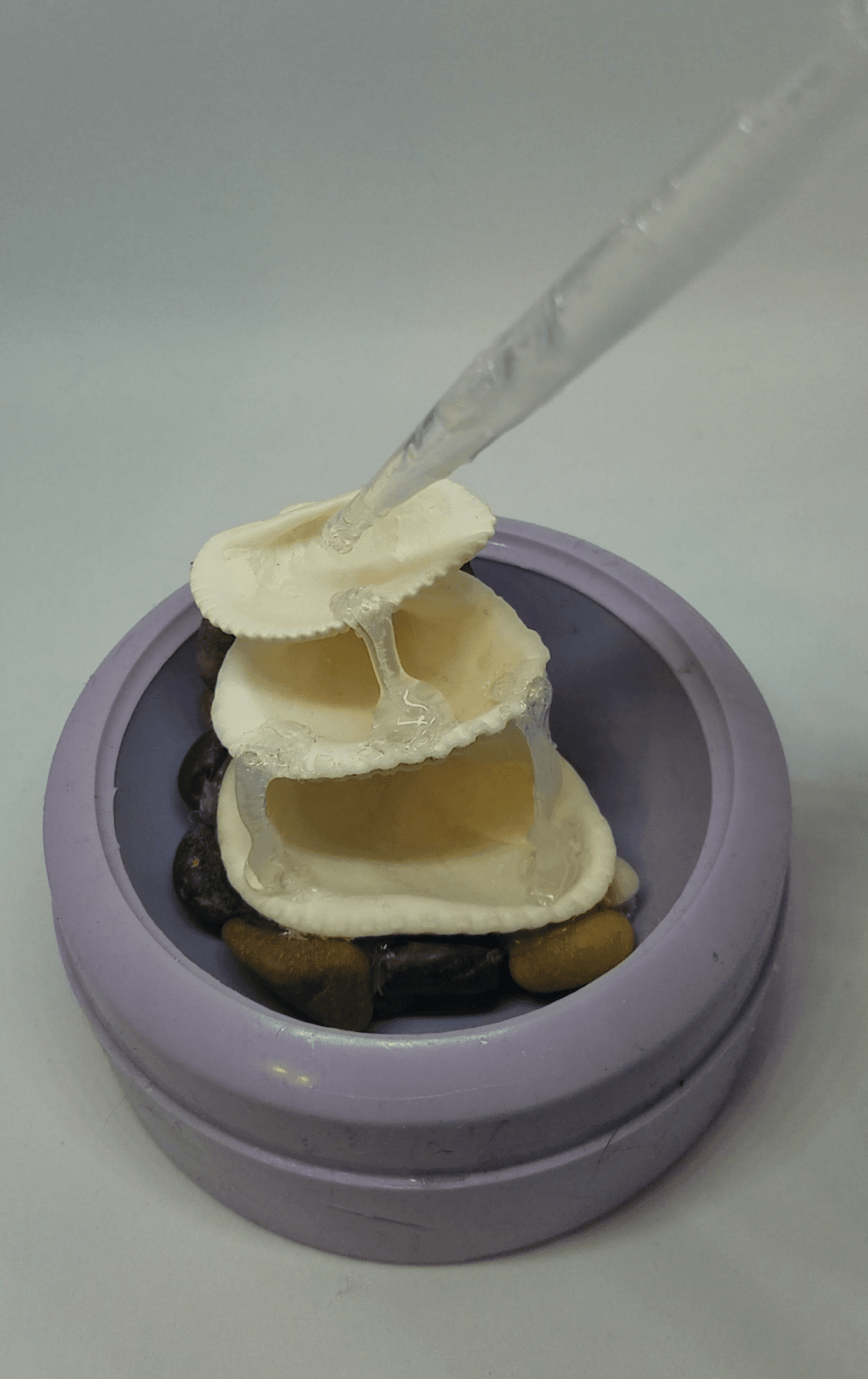 adding resin with a pipette