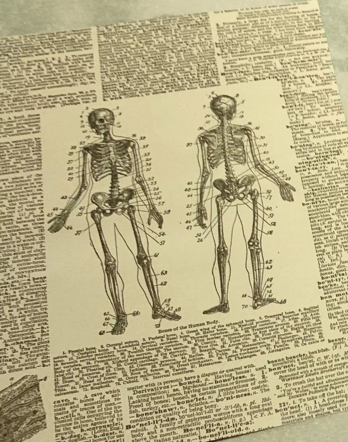 skeleton Halloween paper