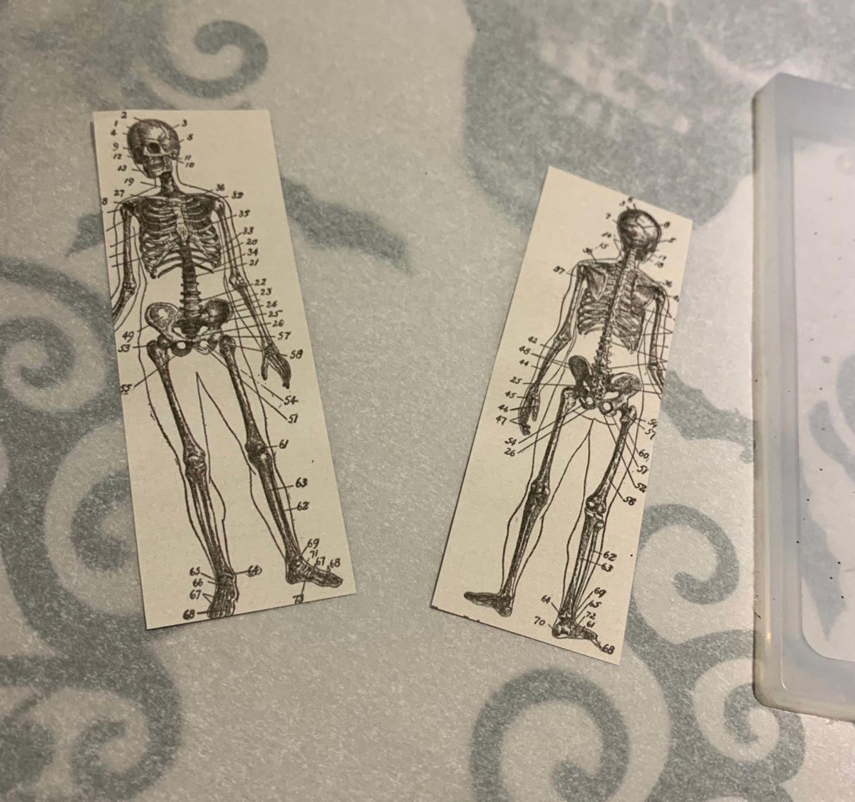 skeleton papers for resin bookmark