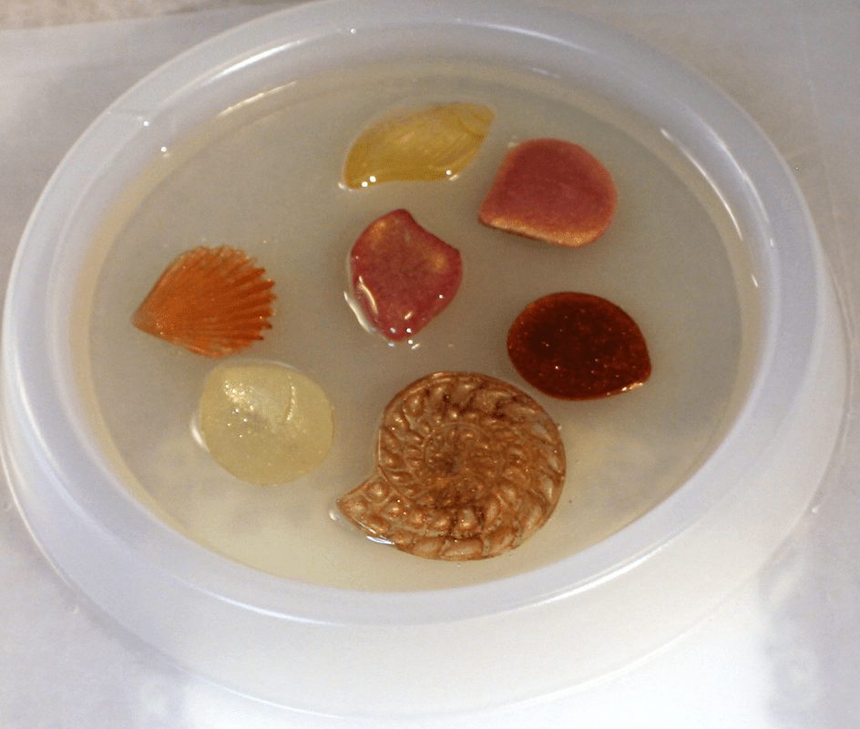 Resin seashells in a coaster mold