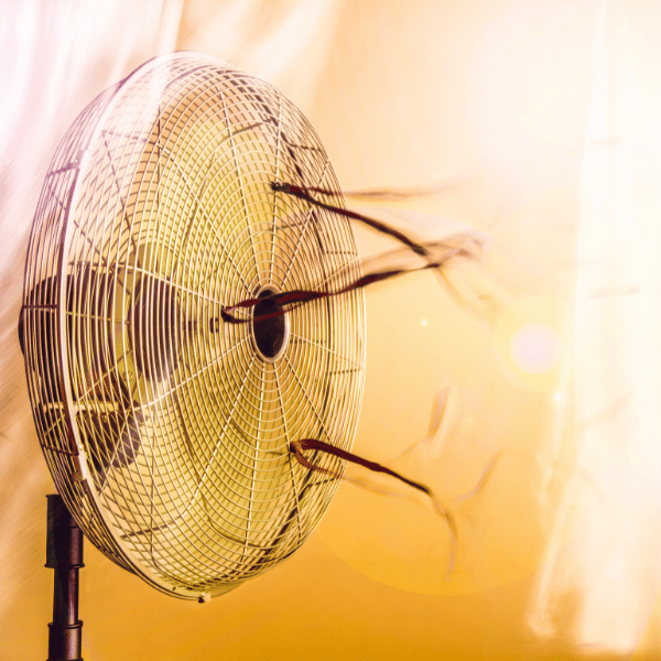 fan blowing