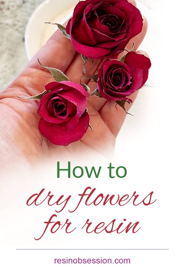 How to dry flowers for resin