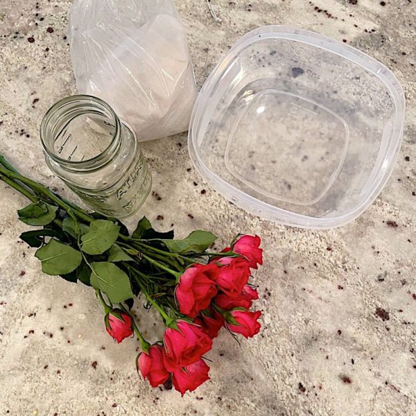 roses for drying