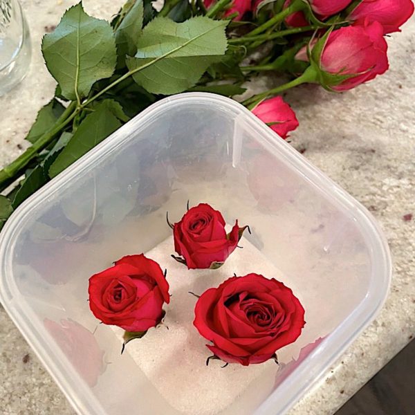 how to add roses to dry for resin projects