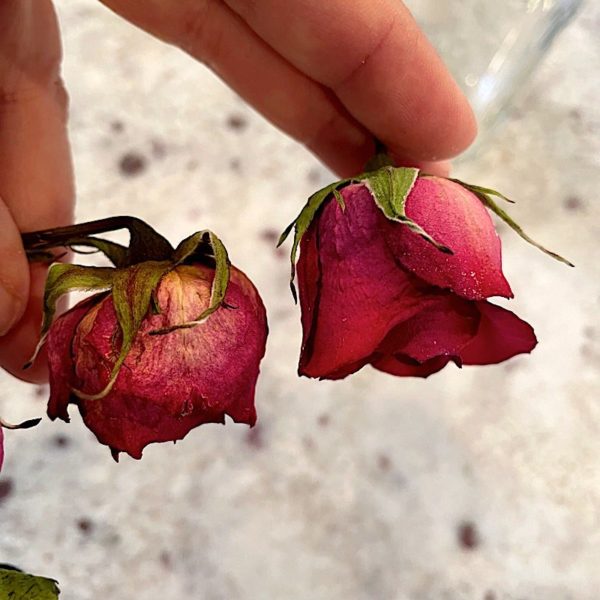 The Simplest Way How to Dry Flowers for Resin Resin Obsession