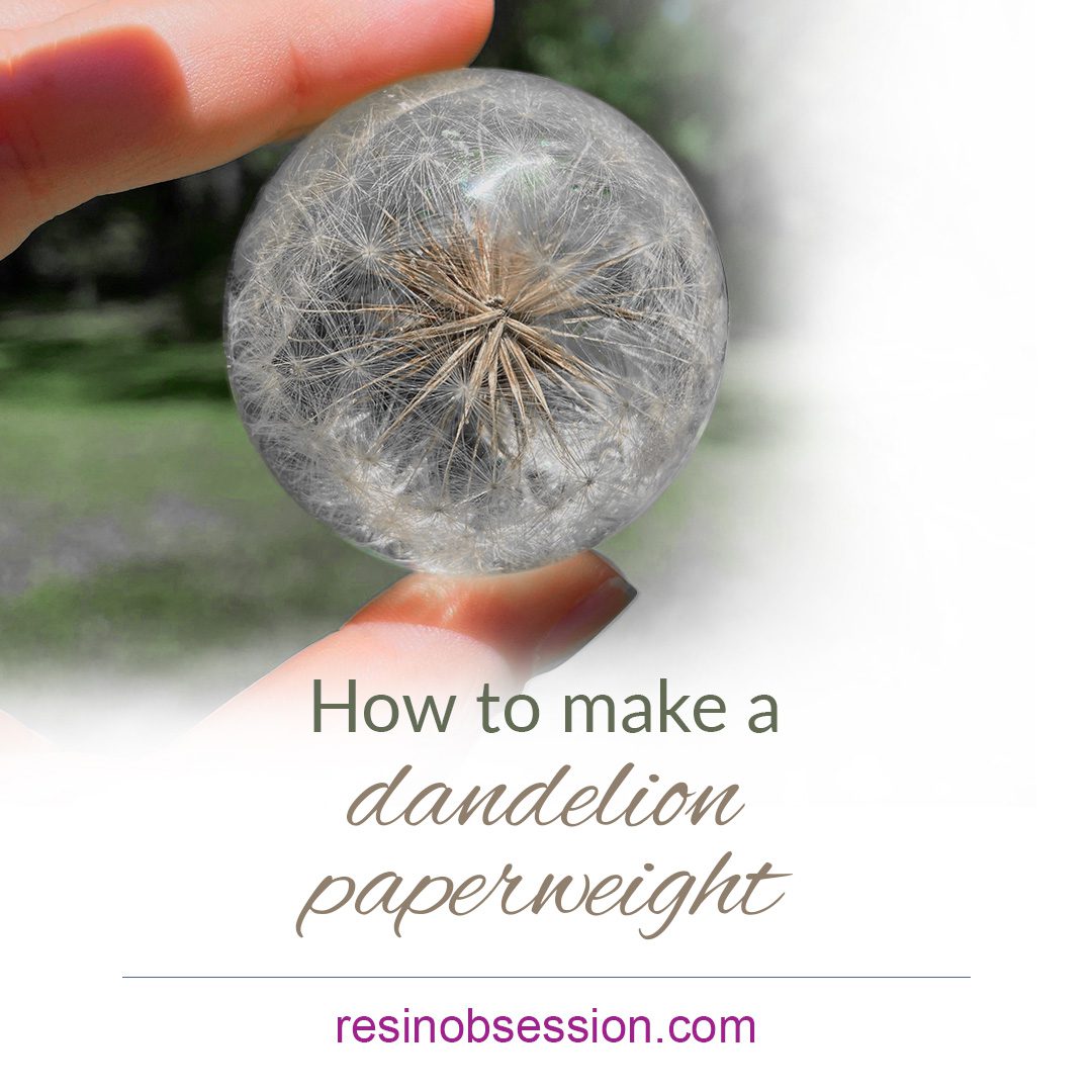 How to Make A Dandelion Paperweight The EASY Way
