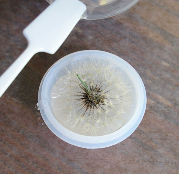 filling dandelion mold with resin