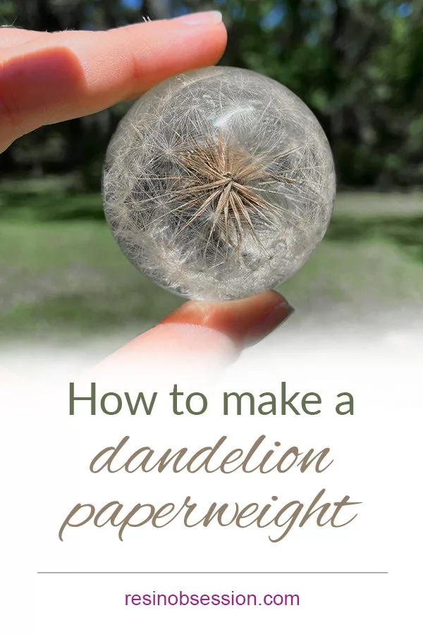 Full Sphere Dandelion Paperweight Made from a Real Dandelion 
