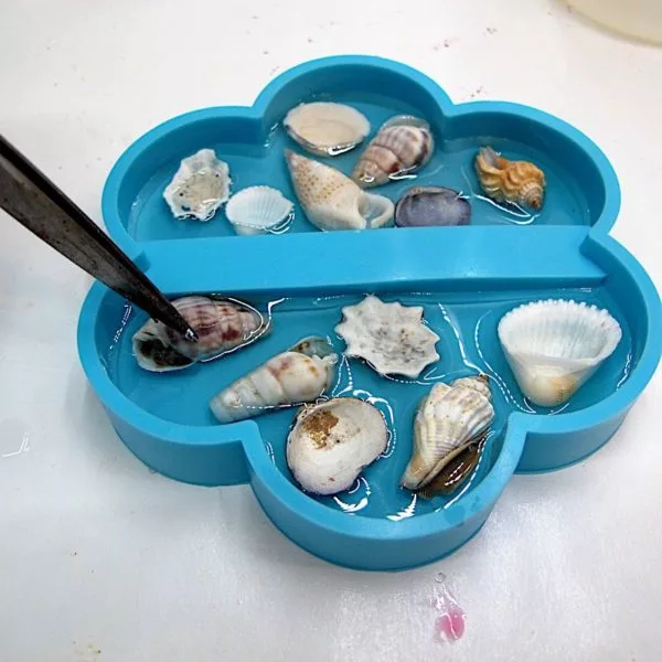adding shells to resin
