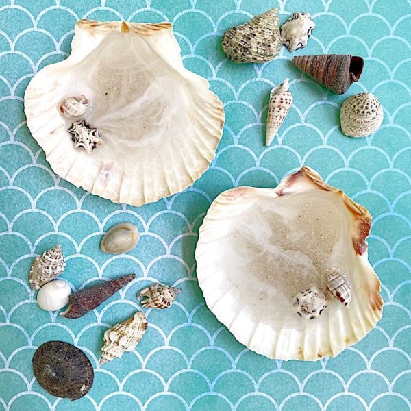 resin trinket shells