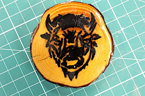 bison coaster design