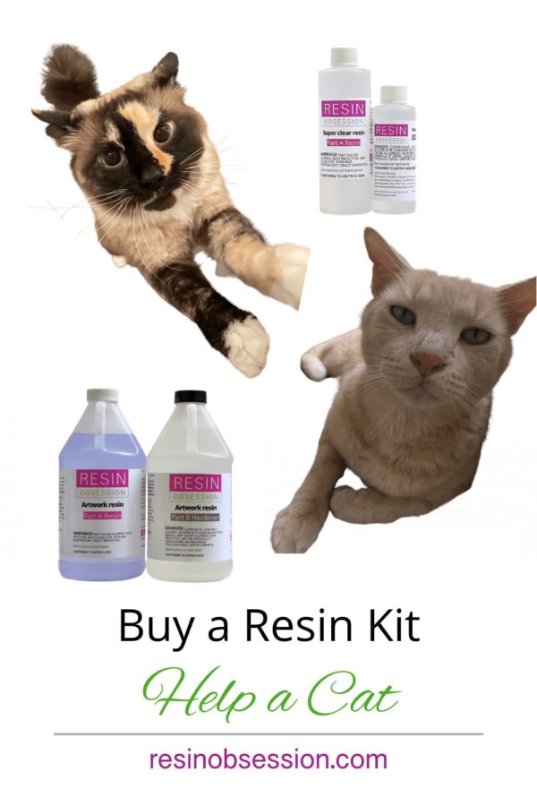 buy a kit help a cat