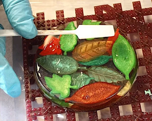 add resin to leaves