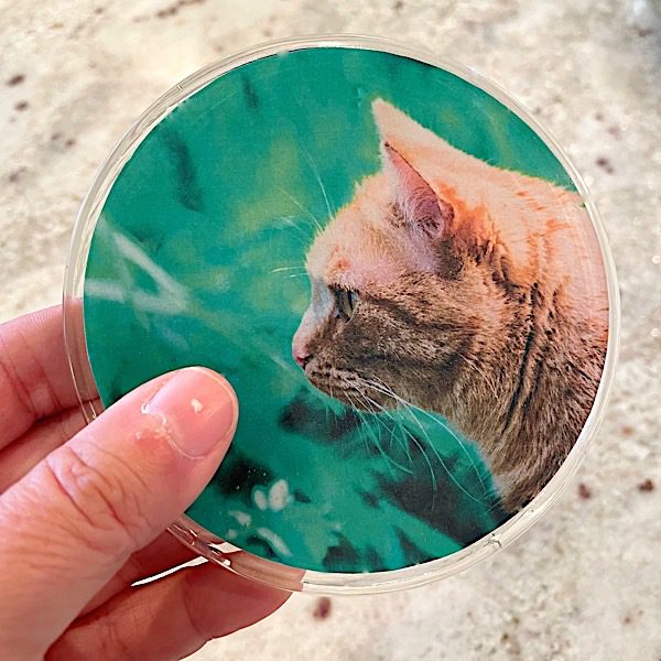 orange ginger cat resin coaster