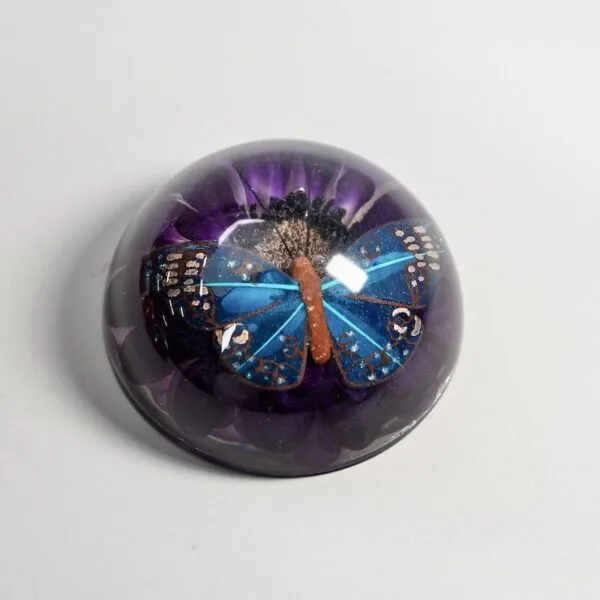 butterfly resin paperweight